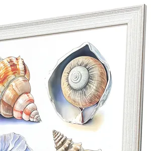 Shell Factory II Framed Art