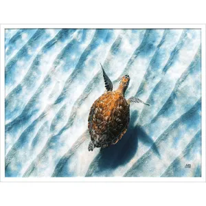 Sandbar Sea Turtle Framed Art