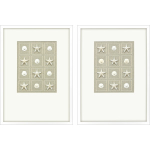 Shell Collection S/2 Framed Art