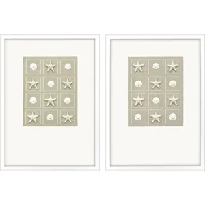 Shell Collection S/2 Framed Art