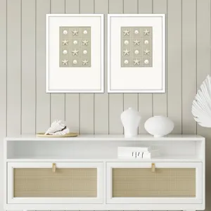Shell Collection S/2 Framed Art