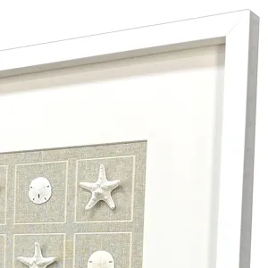 Shell Collection S/2 Framed Art