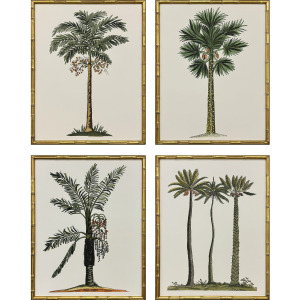 Contemporary Palm II S/4 Framed Art