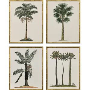 Contemporary Palm II S/4 Framed Art