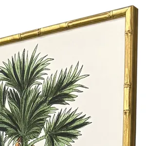 Contemporary Palm II S/4 Framed Art