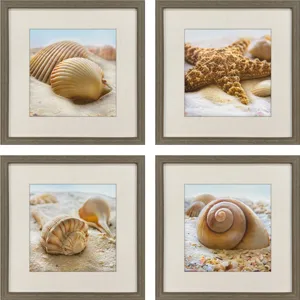Beachy Shells S/4 Framed Art