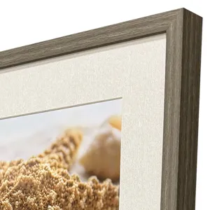 Beachy Shells S/4 Framed Art