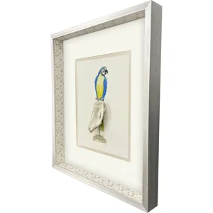 Treasure Parrot I Framed Art