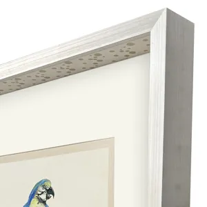 Treasure Parrot I Framed Art
