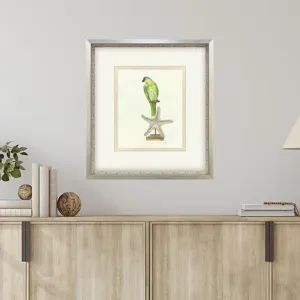Treasure Parrot II Framed Art