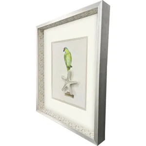 Treasure Parrot II Framed Art