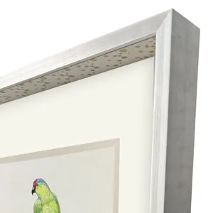 Treasure Parrot II Framed Art
