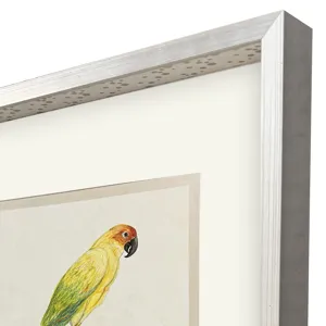 Treasure Parrot III Framed Art