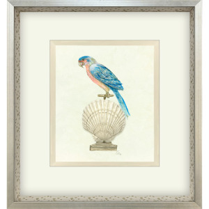 Treasure Parrot IV Framed Art