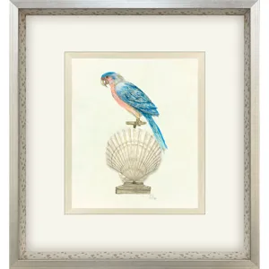 Treasure Parrot IV Framed Art