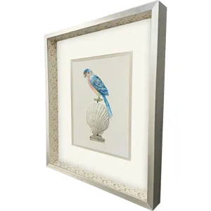 Treasure Parrot IV Framed Art