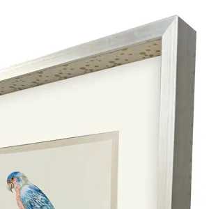 Treasure Parrot IV Framed Art