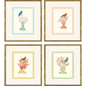 Bird with Shell S/4 Framed Art