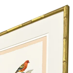 Bird with Shell S/4 Framed Art