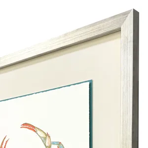 Crab Celebration II Framed Art
