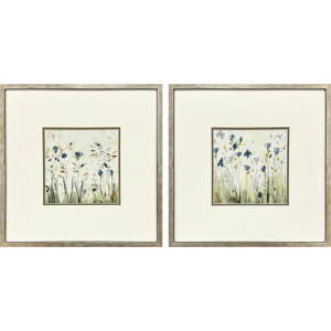 Looking for Sparrows S/2 Framed Art