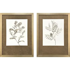 Neutral Botanical I S/2 Framed Art