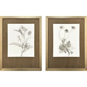 Neutral Botanical II S/2 Framed Art