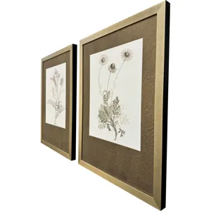 Neutral Botanical II S/2 Framed Art