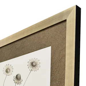 Neutral Botanical II S/2 Framed Art