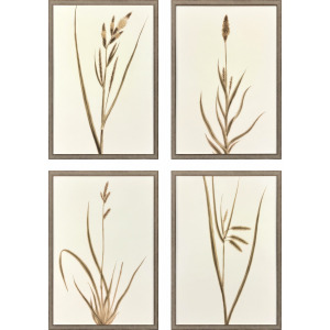 Varying Grasses S/4 Framed Art