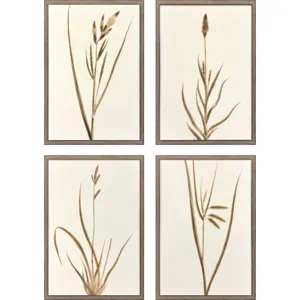 Varying Grasses S/4 Framed Art