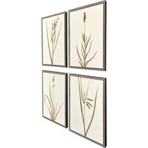 Varying Grasses S/4 Framed Art