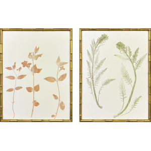 Floral Trace I S/2 Framed Art