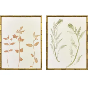 Floral Trace I S/2 Framed Art
