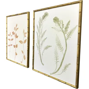 Floral Trace I S/2 Framed Art
