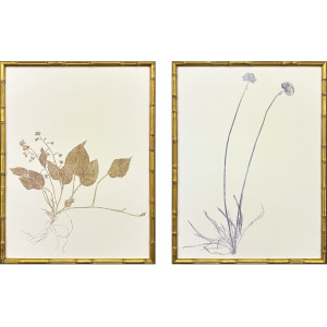 Floral Trace II S/2 Framed Art