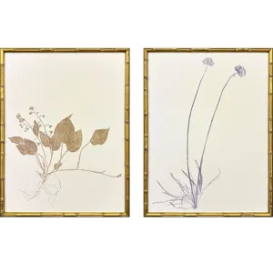 Floral Trace II S/2 Framed Art