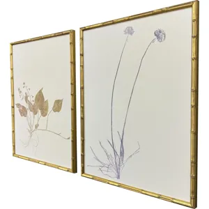 Floral Trace II S/2 Framed Art