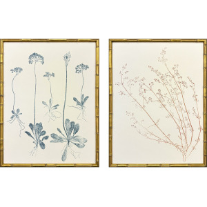 Floral Trace III S/2 Framed Art