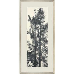 Forest Vista II Framed Art