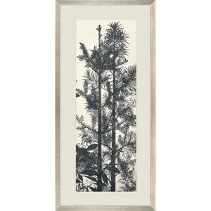 Forest Vista II Framed Art