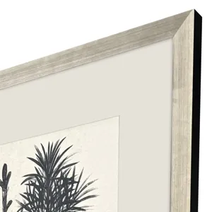 Forest Vista II Framed Art