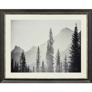 Kanaskis Country Framed Art