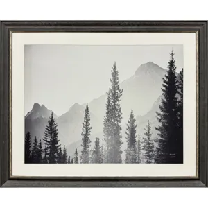 Kanaskis Country Framed Art
