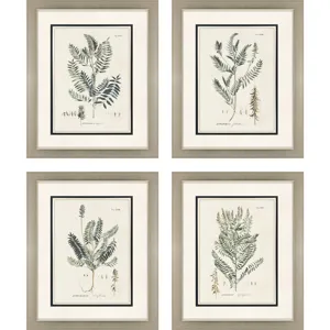 Astragalorum S/4 Framed Art