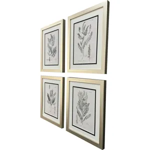Astragalorum S/4 Framed Art