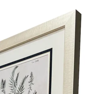 Astragalorum S/4 Framed Art