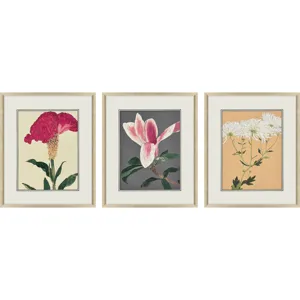 Enchanted Blooms I S/3 Framed Art