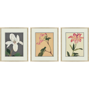 Enchanted Blooms II S/3 Framed Art