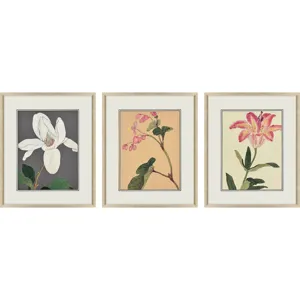 Enchanted Blooms II S/3 Framed Art